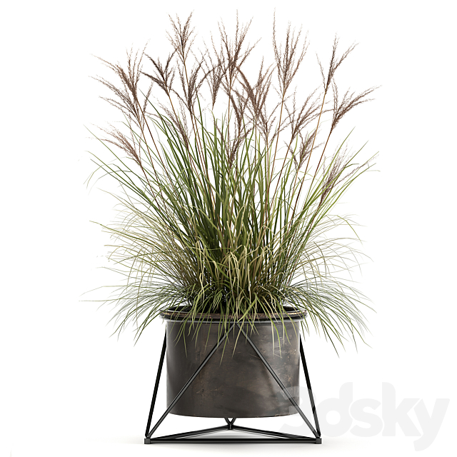 Collection of outdoor metal potted plants with Reeds. grass. bushes. weinik. Set 980. 3DSMax File - thumbnail 3