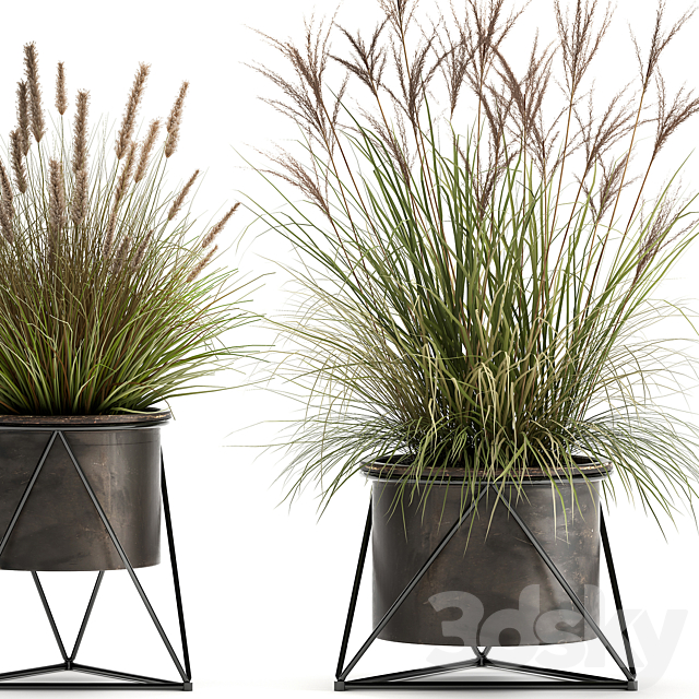 Collection of outdoor metal potted plants with Reeds. grass. bushes. weinik. Set 980. 3DSMax File - thumbnail 4