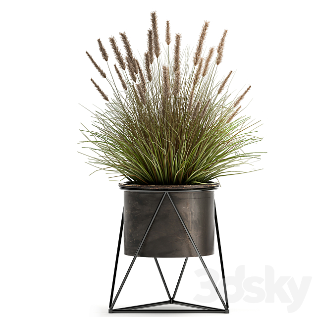 Collection of outdoor metal potted plants with Reeds. grass. bushes. weinik. Set 980. 3DSMax File - thumbnail 5