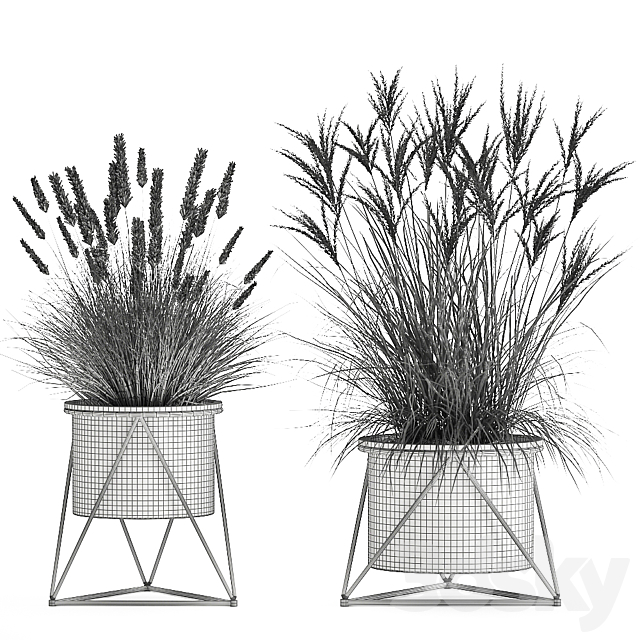 Collection of outdoor metal potted plants with Reeds. grass. bushes. weinik. Set 980. 3DSMax File - thumbnail 6