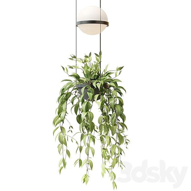 3dsky Free Download