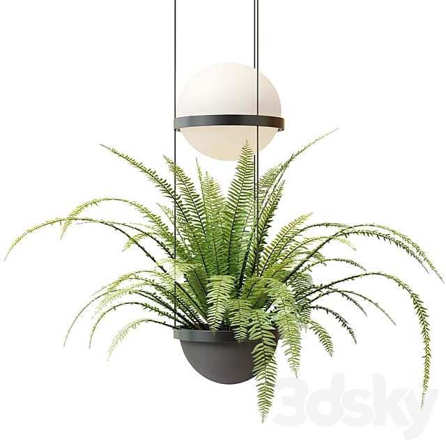 3dsky