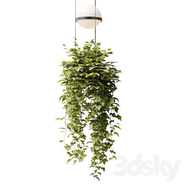 3D Model