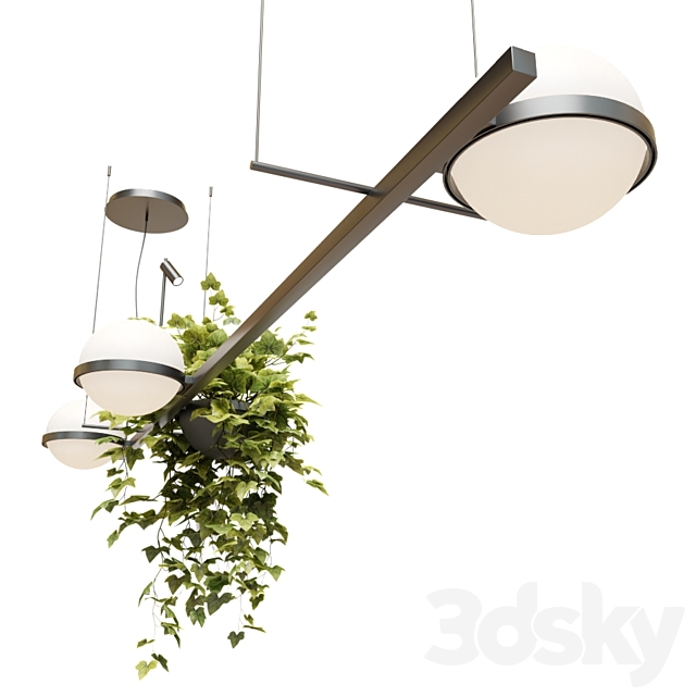 3d