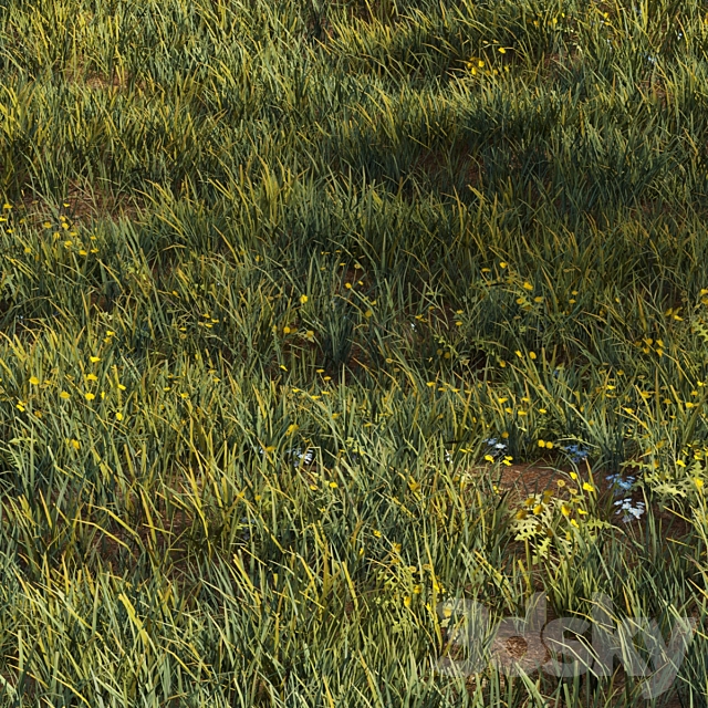 3dsky Free Download