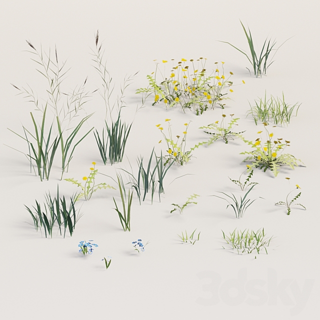 3dsky