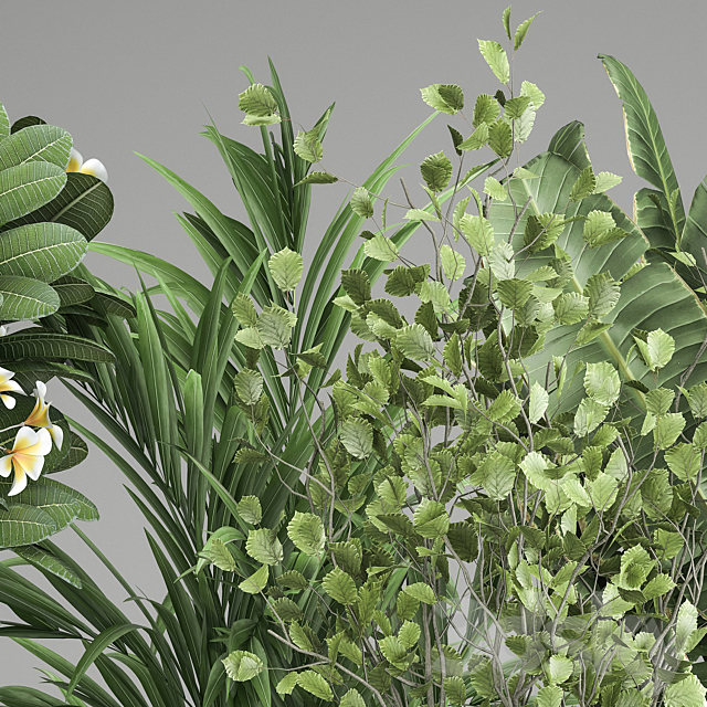 3D Model