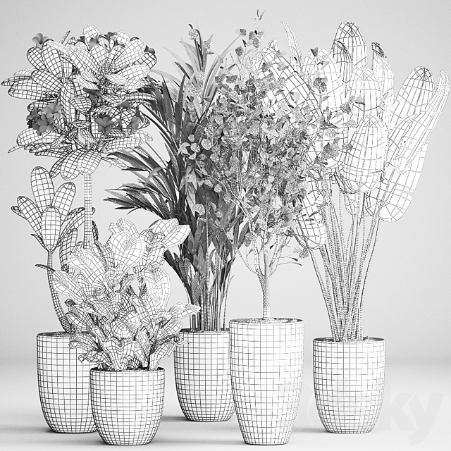 3d Download