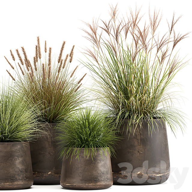 Collection of plants and bushes in rusty metal pots Reeds. grass. weinik. Set 988. 3DSMax File - thumbnail 3