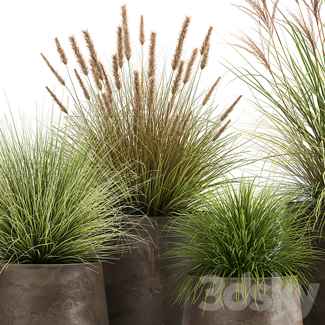Collection of plants and bushes in rusty metal pots Reeds. grass. weinik. Set 988. 3DSMax File - thumbnail 4