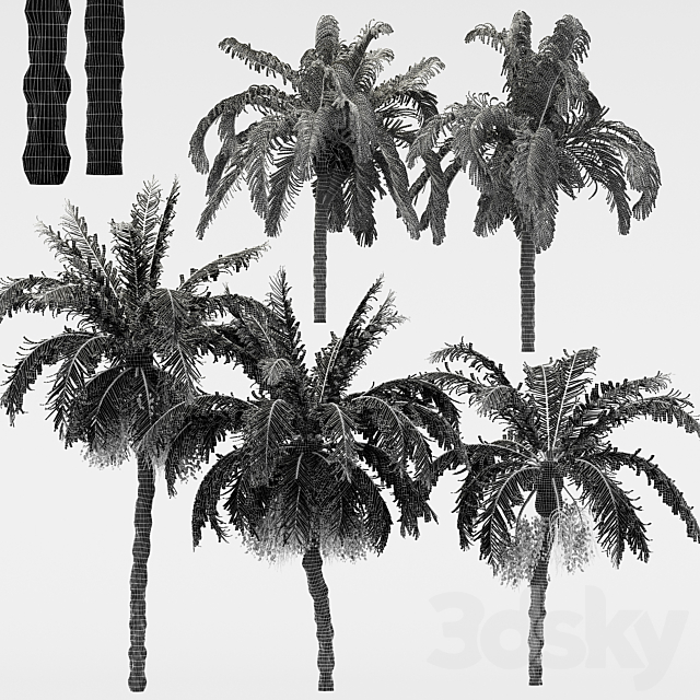 3dsky Free Download