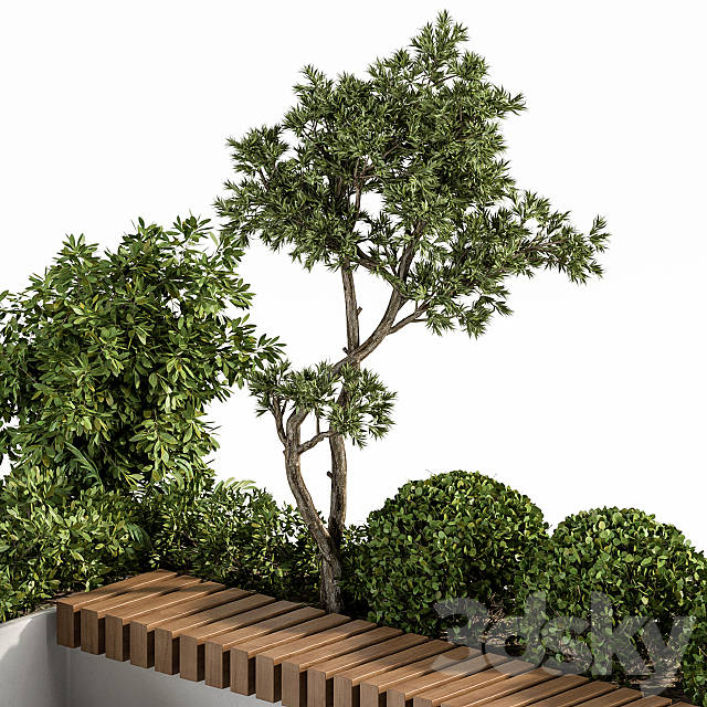3dsky