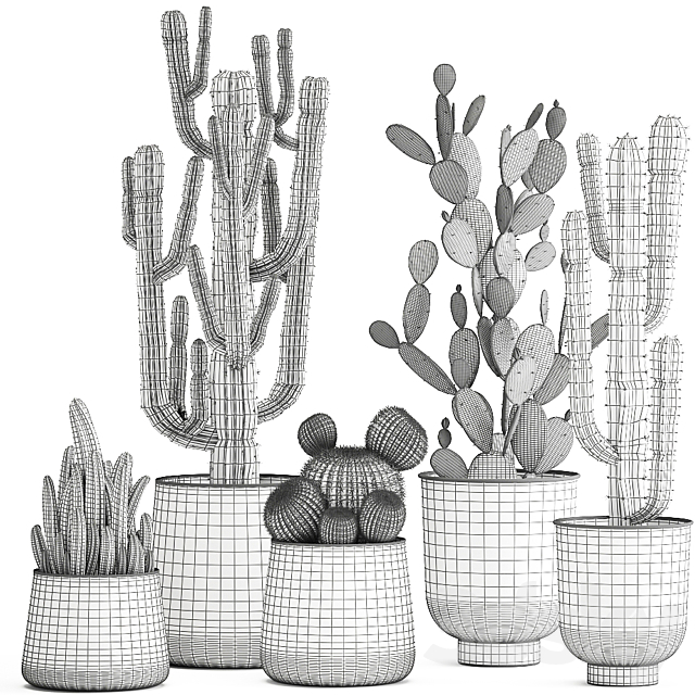Collection of Cacti plants in metal rusty pots of Prickly pear. Carnegie. round cactus. Set 992. 3DSMax File - thumbnail 6