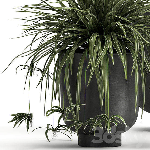 3D Model