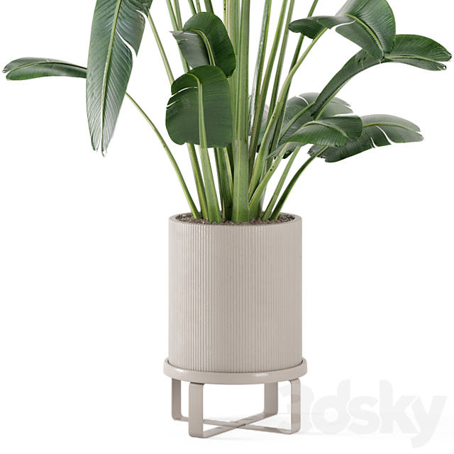 Indoor Plants in Ferm Living Bau Pot Large – Set 173 3DSMax File - thumbnail 4