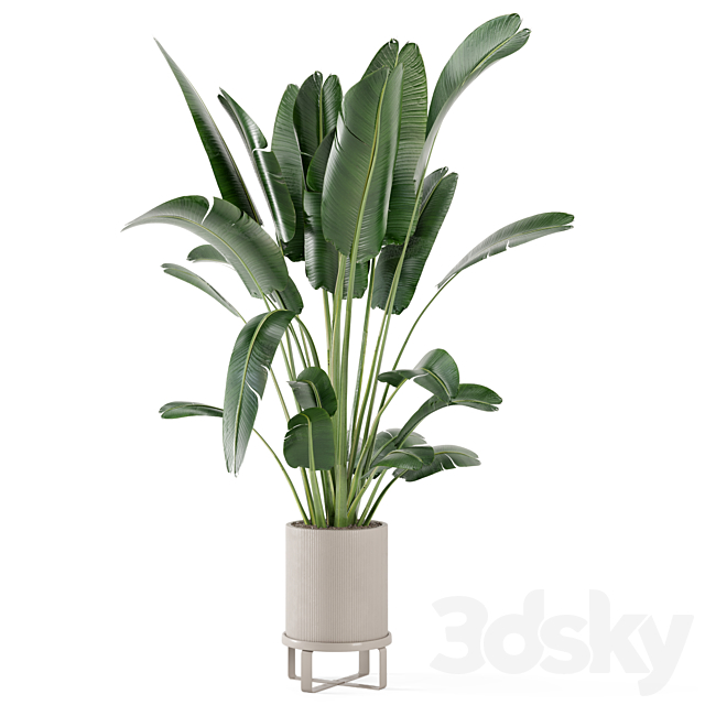 Indoor Plants in Ferm Living Bau Pot Large – Set 173 3DSMax File - thumbnail 5