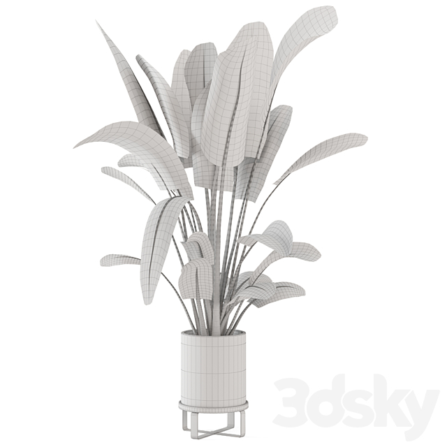 Indoor Plants in Ferm Living Bau Pot Large – Set 173 3DSMax File - thumbnail 7