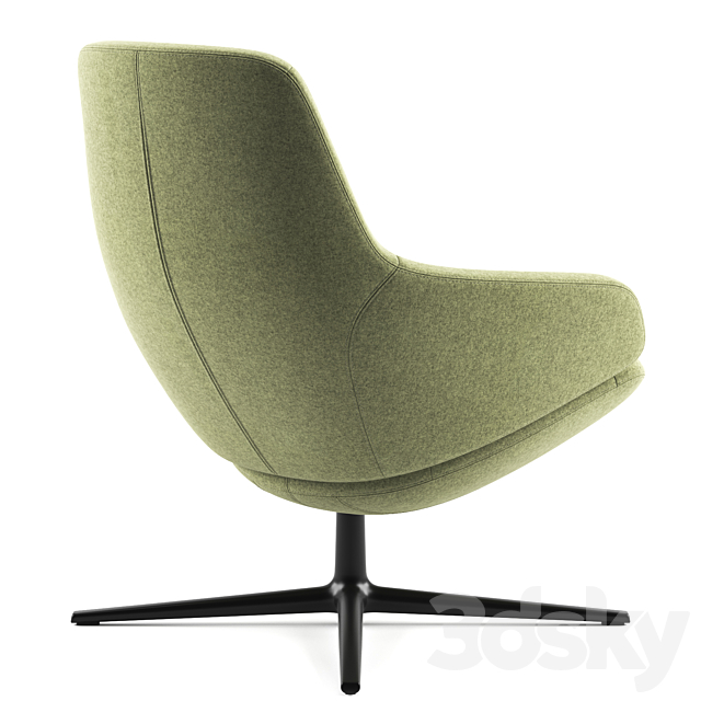 3D Model