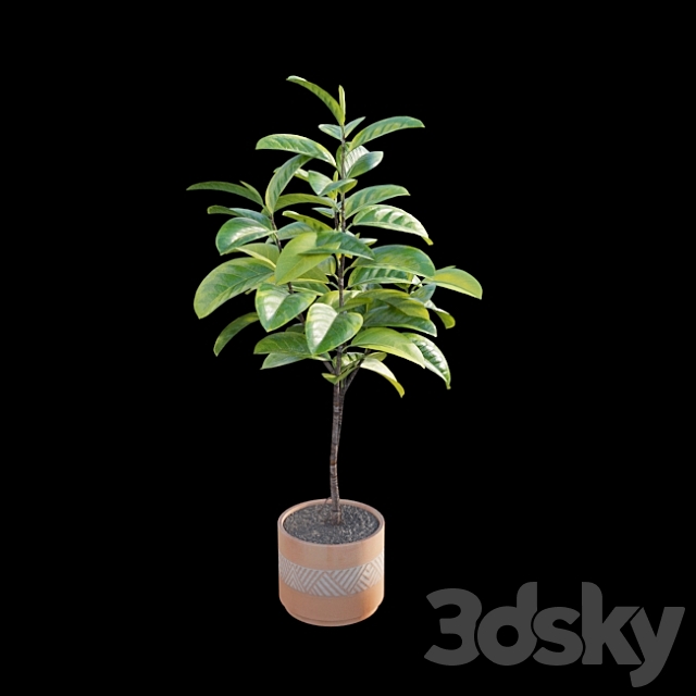 Ficus benghalensis 3DSMax File - thumbnail 5