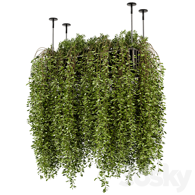 Indoor Hanging Plants in Metal Box – Set 192 3DSMax File - thumbnail 5