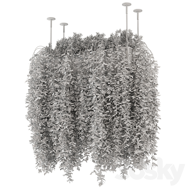 Indoor Hanging Plants in Metal Box – Set 192 3DSMax File - thumbnail 7