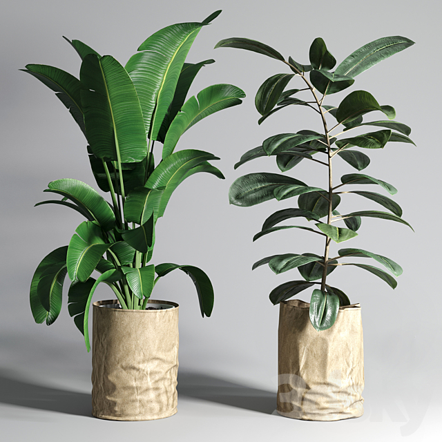 collection Indoor plant 88 paper vase envelope vase pot palnt 3DSMax File - thumbnail 1
