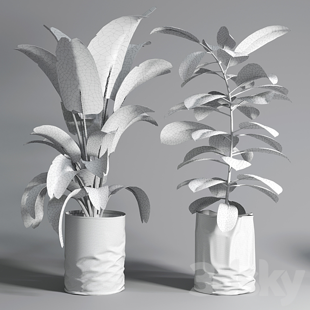 collection Indoor plant 88 paper vase envelope vase pot palnt 3DSMax File - thumbnail 6