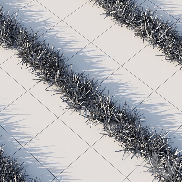 3dsky