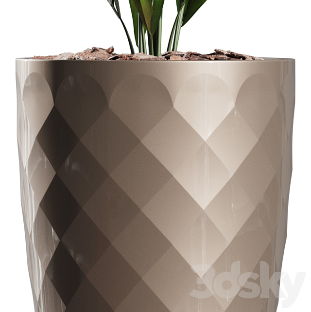 3dsky Free Download
