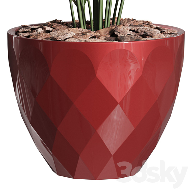 Howea Forsteriana Vase Plant 3dsky