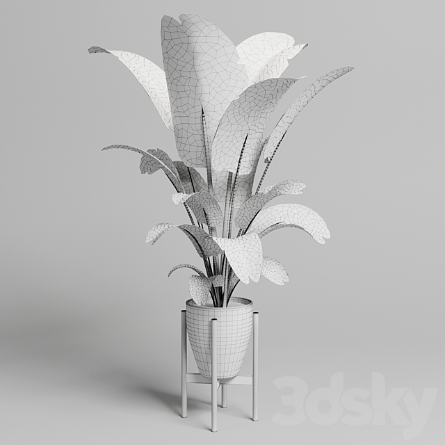 Indoor plant 93 concrete vase pot palnt ravenala 3DSMax File - thumbnail 3