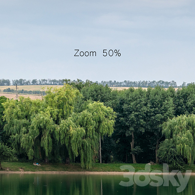 Panorama with a lake and trees v2. 30-50k 3dsky