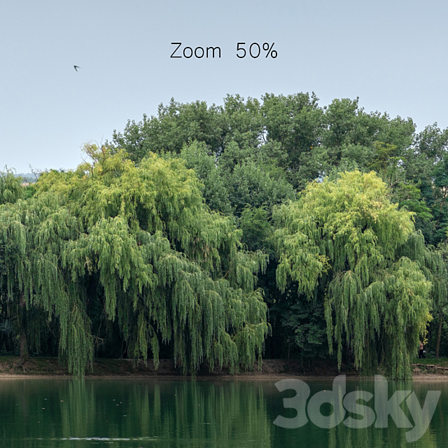 Panorama with a lake and trees v2. 30-50k 3dskyfree