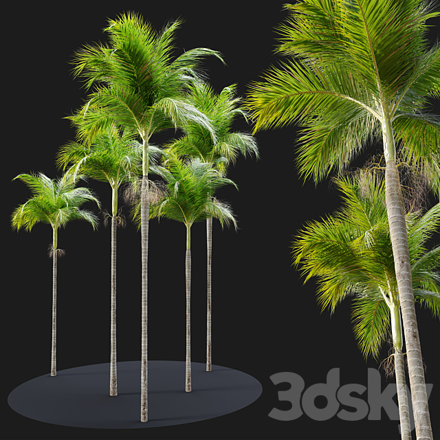 3d
