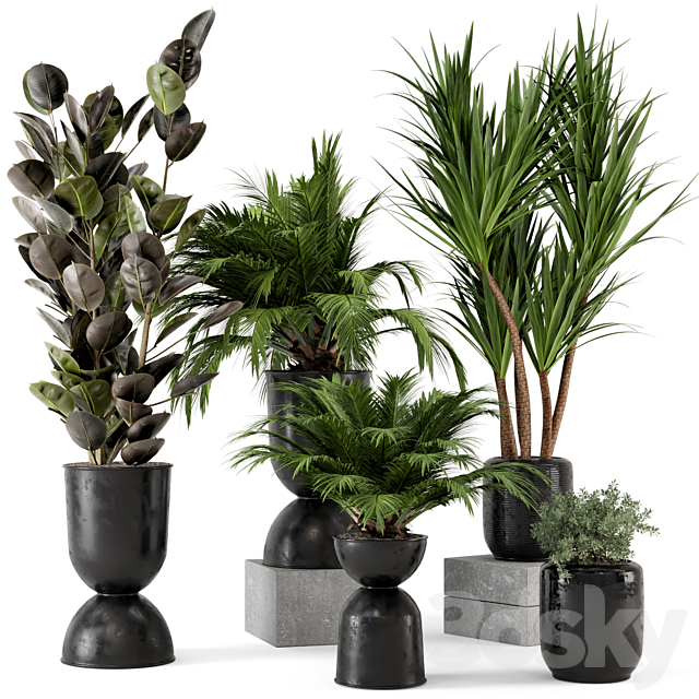 Indoor Plants in Ferm Living Bau Pot Large – Set 226 3DSMax File - thumbnail 1