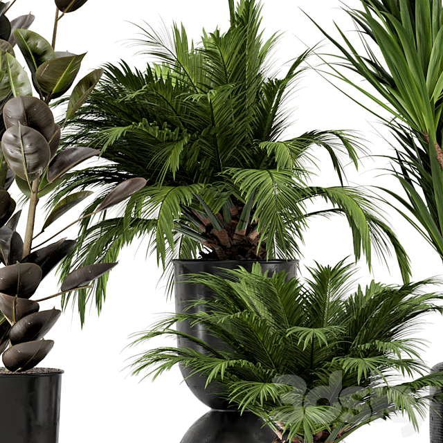 Indoor Plants in Ferm Living Bau Pot Large – Set 226 3DSMax File - thumbnail 2