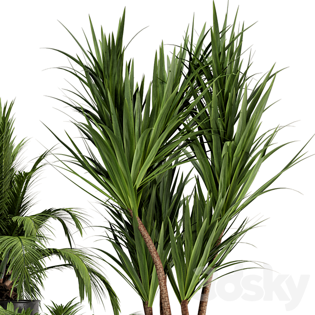 Indoor Plants in Ferm Living Bau Pot Large – Set 226 3DSMax File - thumbnail 3