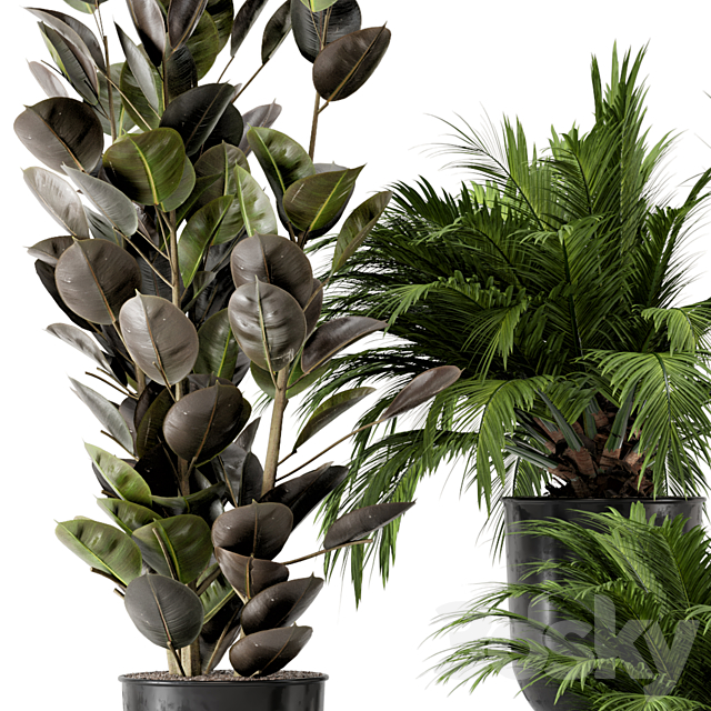 Indoor Plants in Ferm Living Bau Pot Large – Set 226 3DSMax File - thumbnail 4