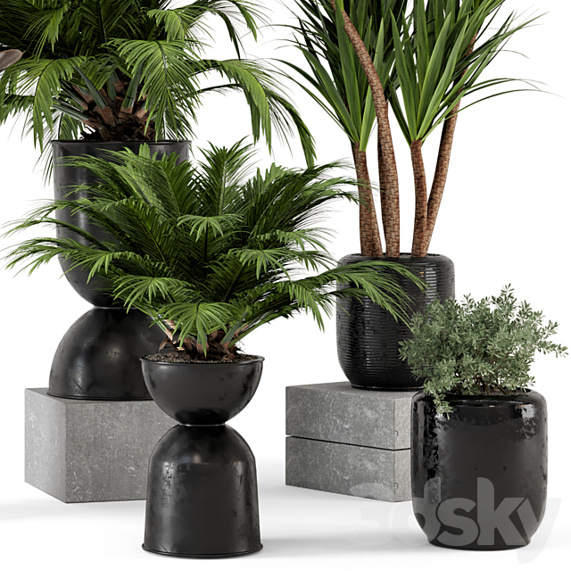 Indoor Plants in Ferm Living Bau Pot Large – Set 226 3DSMax File - thumbnail 5