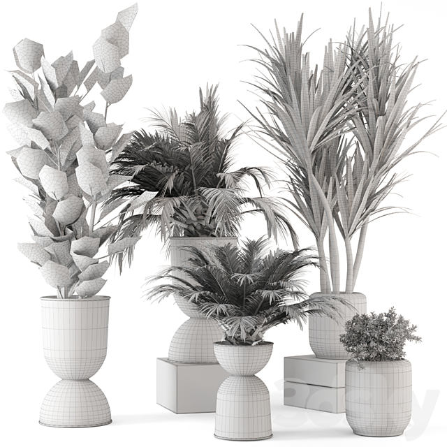 Indoor Plants in Ferm Living Bau Pot Large – Set 226 3DSMax File - thumbnail 7