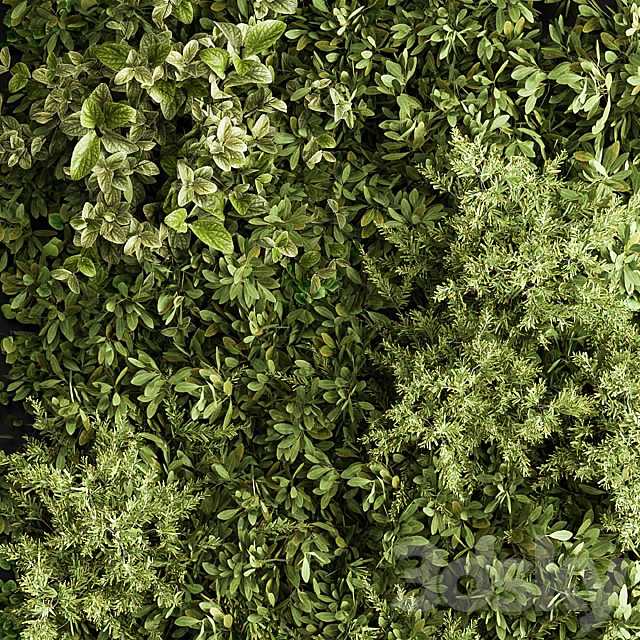 Vertical Garden Wood Frame - Wall Decor 33 3d