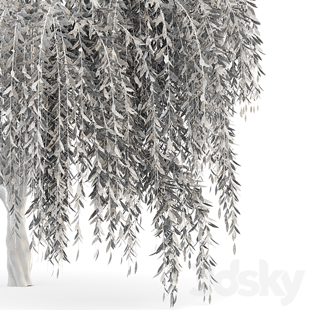 3dsky