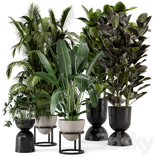 Indoor Plants in rusty Concrete Pot on Metal Shelf – Set 242 3DSMax File - thumbnail 1