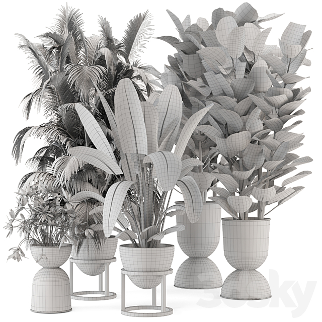 Indoor Plants in rusty Concrete Pot on Metal Shelf – Set 242 3DSMax File - thumbnail 7