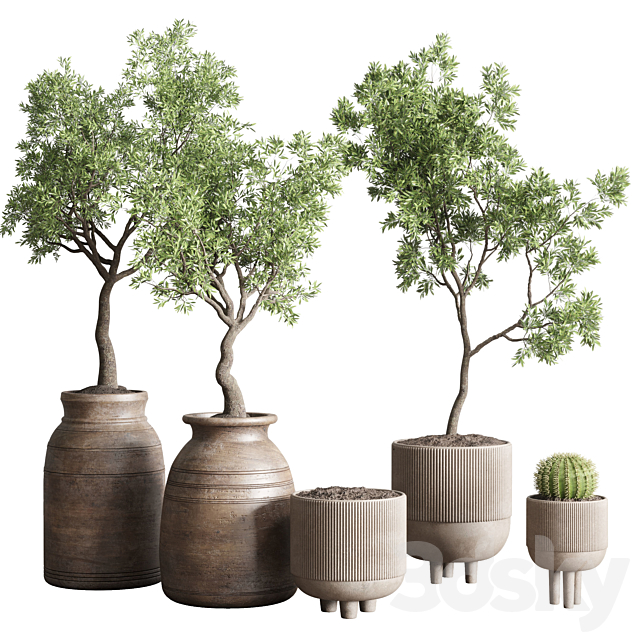 collection indoor outdoor plant 114 vase concrete wood old pot tree cactus 3DSMax File - thumbnail 1