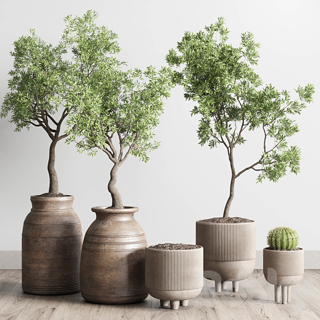 collection indoor outdoor plant 114 vase concrete wood old pot tree cactus 3DSMax File - thumbnail 2