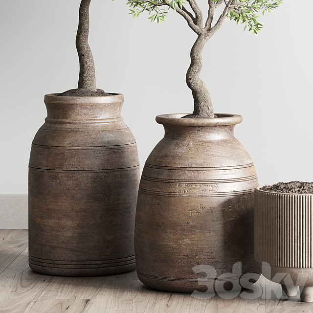 collection indoor outdoor plant 114 vase concrete wood old pot tree cactus 3DSMax File - thumbnail 3