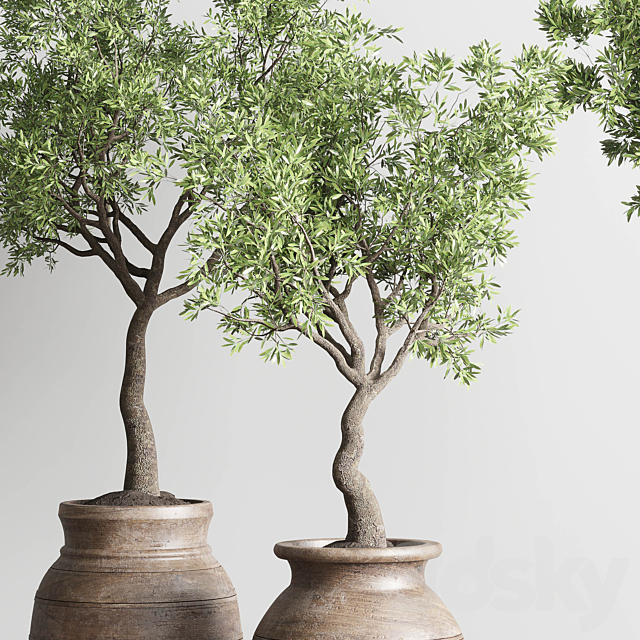 collection indoor outdoor plant 114 vase concrete wood old pot tree cactus 3DSMax File - thumbnail 4