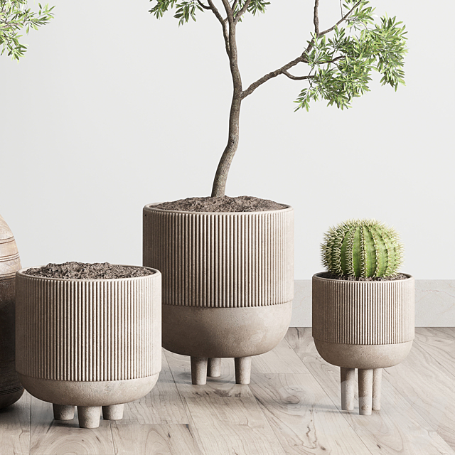 collection indoor outdoor plant 114 vase concrete wood old pot tree cactus 3DSMax File - thumbnail 6