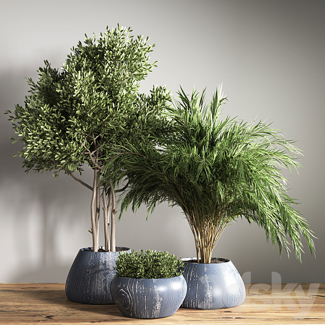 indoor plant stand 18 3DSMax File - thumbnail 2